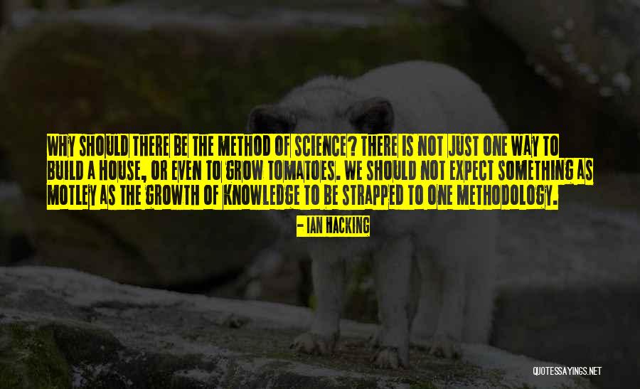To Build Something Quotes By Ian Hacking To Build Something Quotes By Ian Hacking
