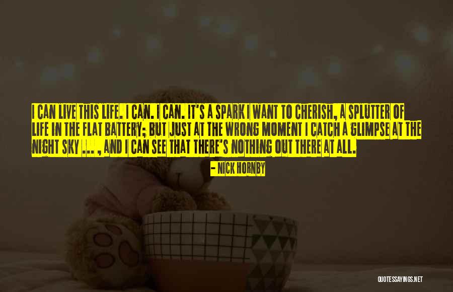 To Cherish Quotes By Nick Hornby To Cherish Quotes By Nick Hornby