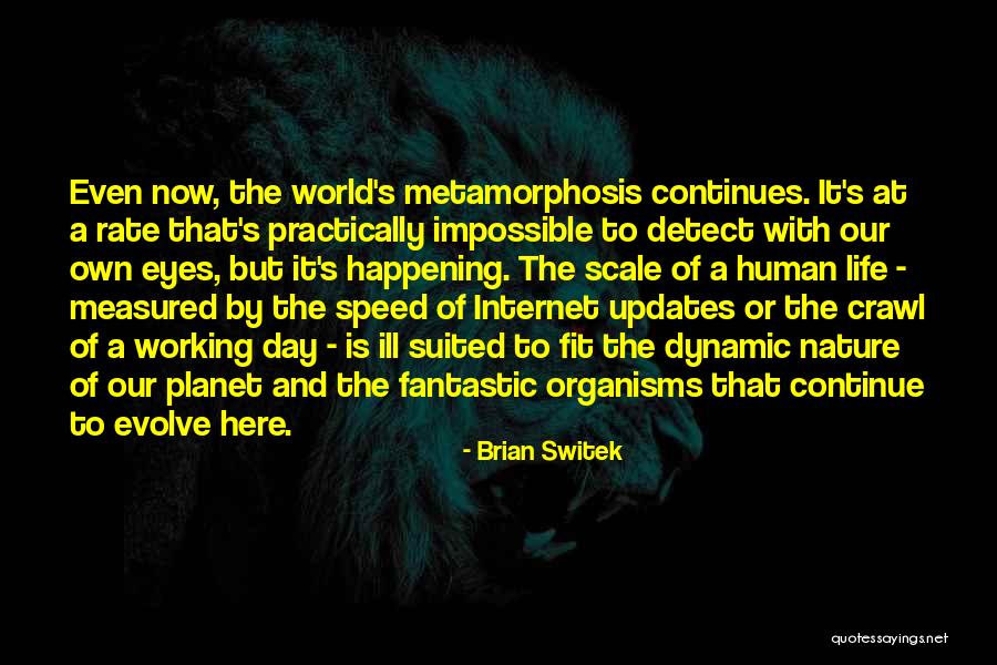 To Evolve Quotes By Brian Switek