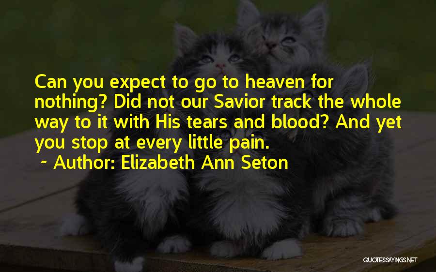 To Expect Nothing Quotes By Elizabeth Ann Seton