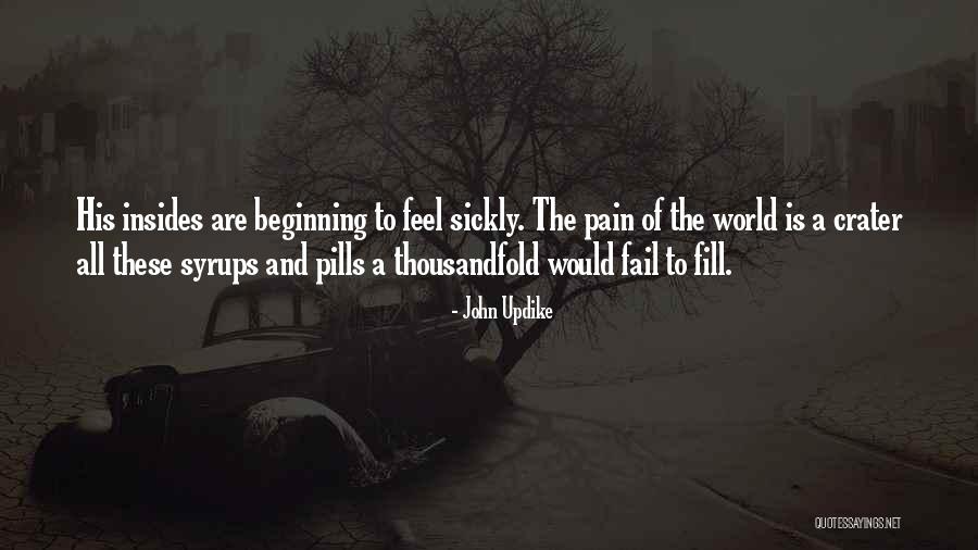 To Feel Pain Quotes By John Updike