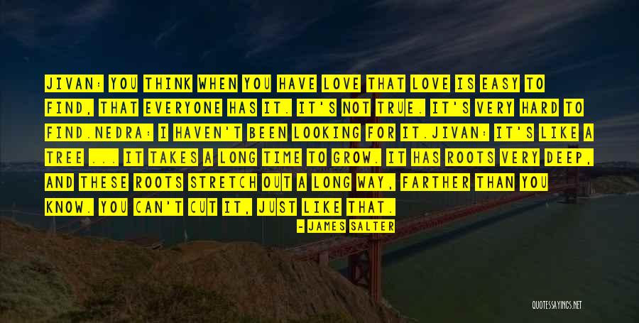 To Find True Love Quotes By James Salter To Find True Love Quotes By James Salter