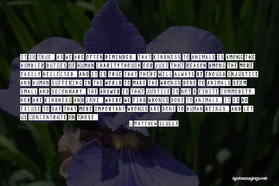 To Find True Love Quotes By Matthew Scully To Find True Love Quotes By Matthew Scully