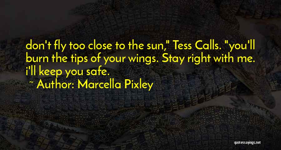 To Fly Quotes By Marcella Pixley