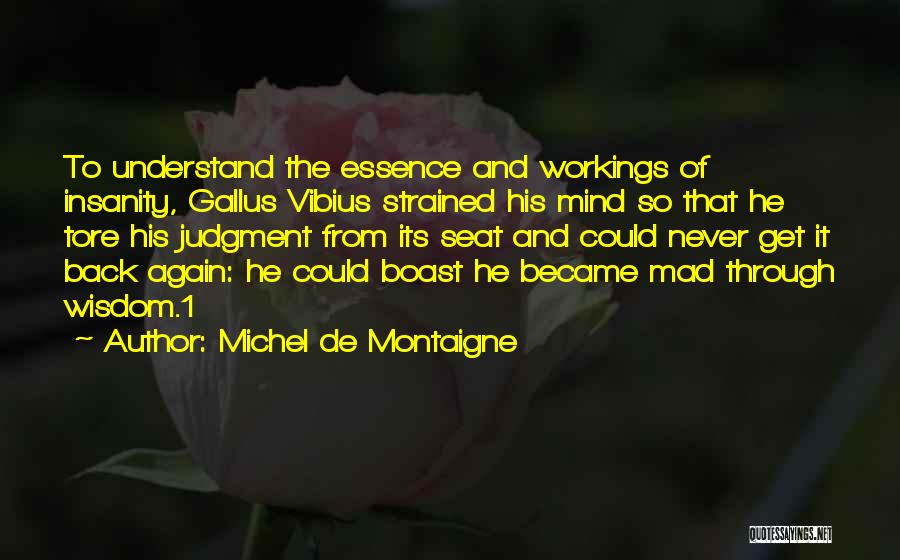 To Get Mad Quotes By Michel De Montaigne