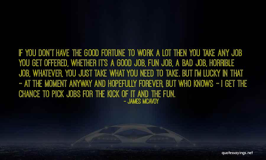 To Have Fun Quotes By James McAvoy To Have Fun Quotes By James McAvoy