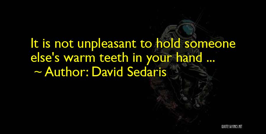 To Hold Quotes By David Sedaris