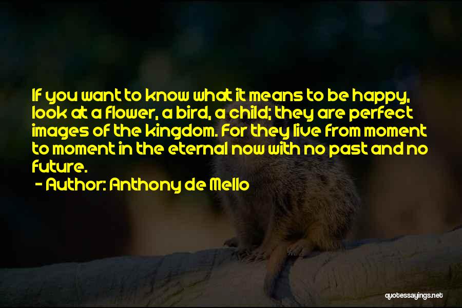 To Live Happy Quotes By Anthony De Mello