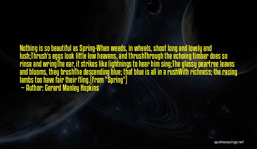 To Look Beautiful Quotes By Gerard Manley Hopkins