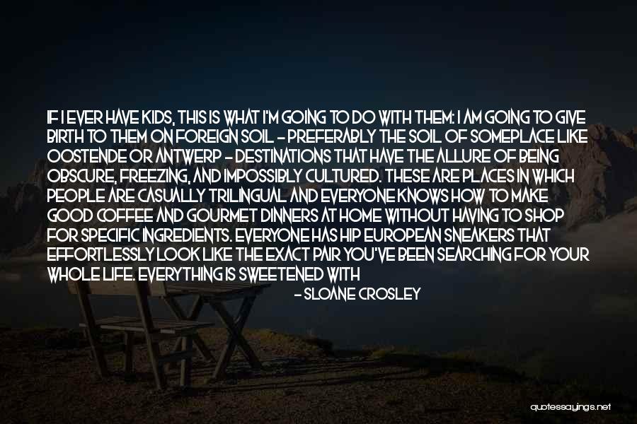To Make Everyone Happy Quotes By Sloane Crosley To Make Everyone Happy Quotes By Sloane Crosley