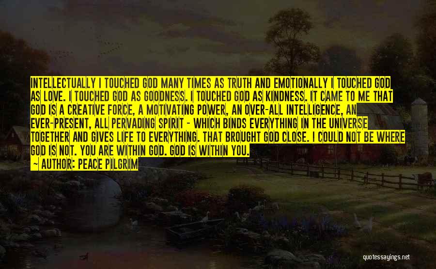 To Me You Are Everything Quotes By Peace Pilgrim