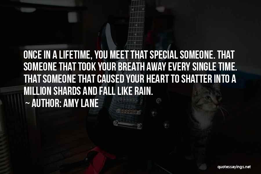 To Meet Someone Special Quotes By Amy Lane