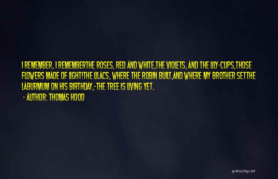 To My Brother On His Birthday Quotes By Thomas Hood