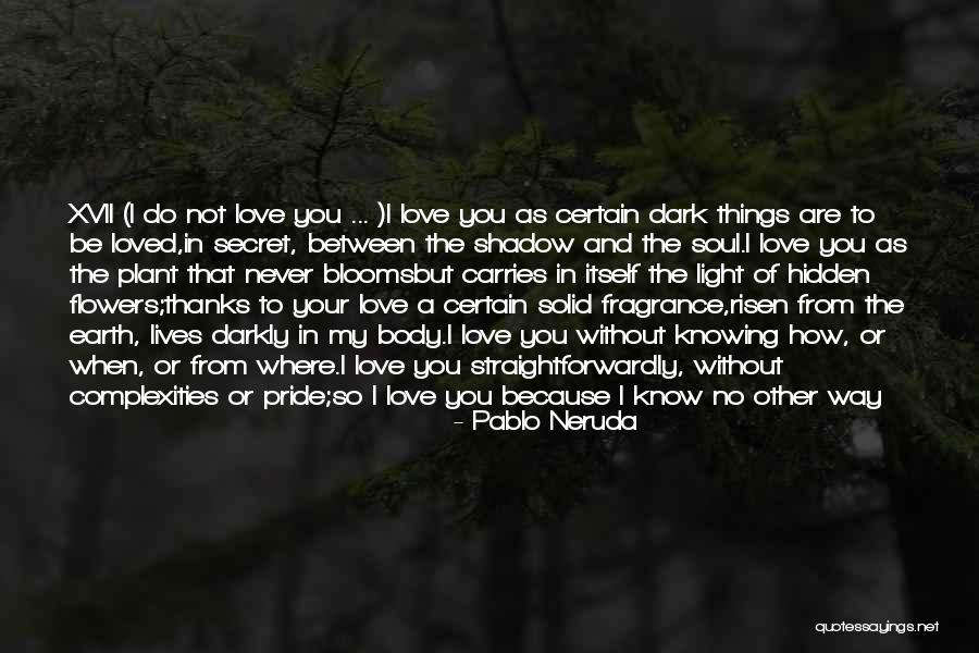 To My Secret Love Quotes By Pablo Neruda To My Secret Love Quotes By Pablo Neruda
