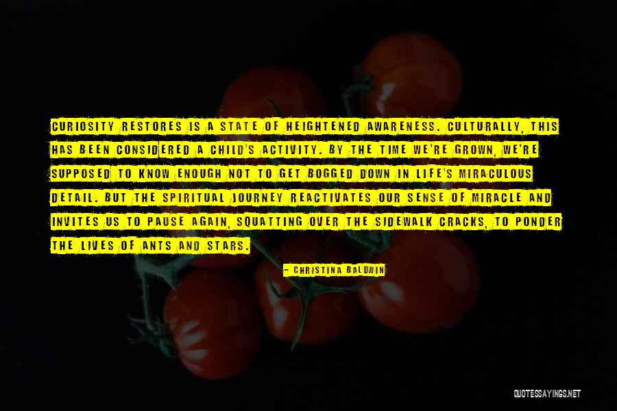 To Ponder Quotes By Christina Baldwin To Ponder Quotes By Christina Baldwin