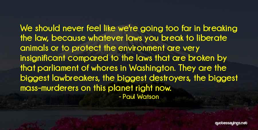 To Protect You Quotes By Paul Watson