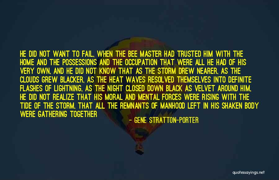 To Reach The Clouds Quotes By Gene Stratton-Porter To Reach The Clouds Quotes By Gene Stratton-Porter