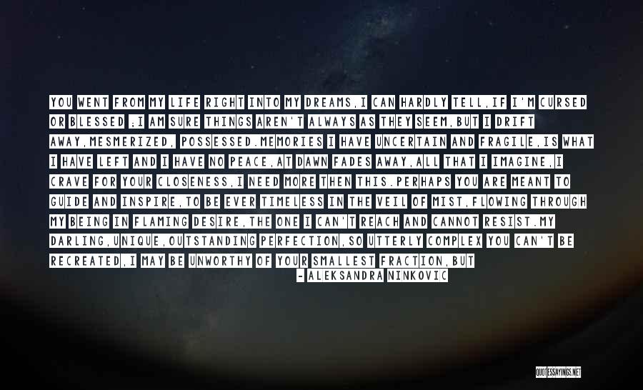 To Reach Your Dreams Quotes By Aleksandra Ninkovic To Reach Your Dreams Quotes By Aleksandra Ninkovic