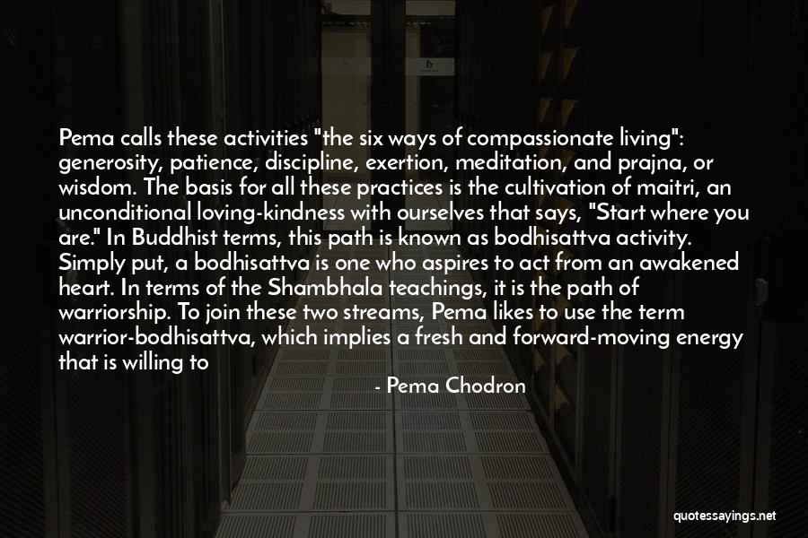 To Start Fresh Quotes By Pema Chodron