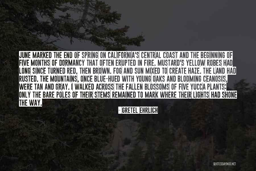 To The Far Blue Mountains Quotes By Gretel Ehrlich To The Far Blue Mountains Quotes By Gretel Ehrlich