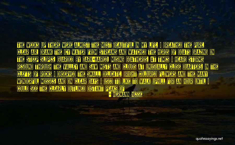 To The Far Blue Mountains Quotes By Hermann Hesse To The Far Blue Mountains Quotes By Hermann Hesse