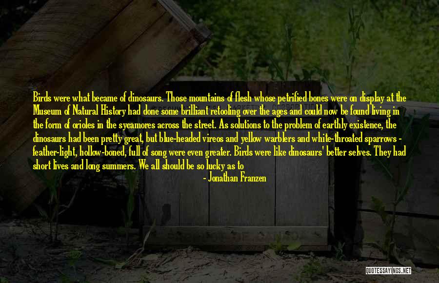 To The Far Blue Mountains Quotes By Jonathan Franzen To The Far Blue Mountains Quotes By Jonathan Franzen