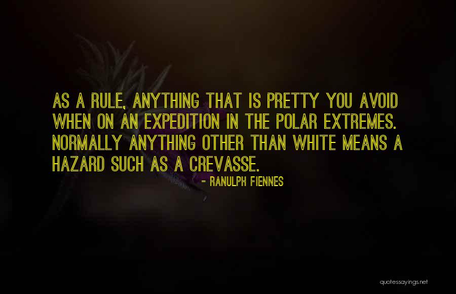 To The Republic For Which It Stands Quotes By Ranulph Fiennes To The Republic For Which It Stands Quotes By Ranulph Fiennes