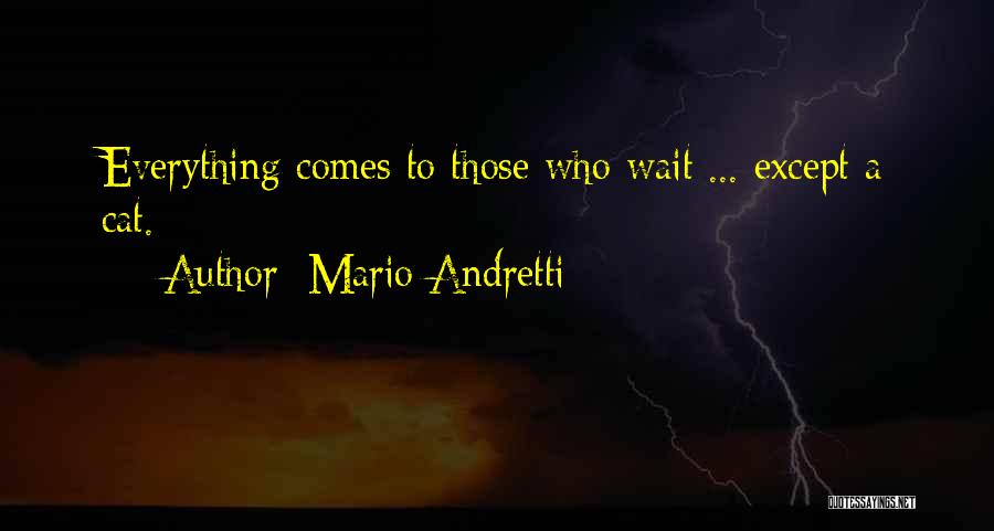 To Those Who Wait Quotes By Mario Andretti