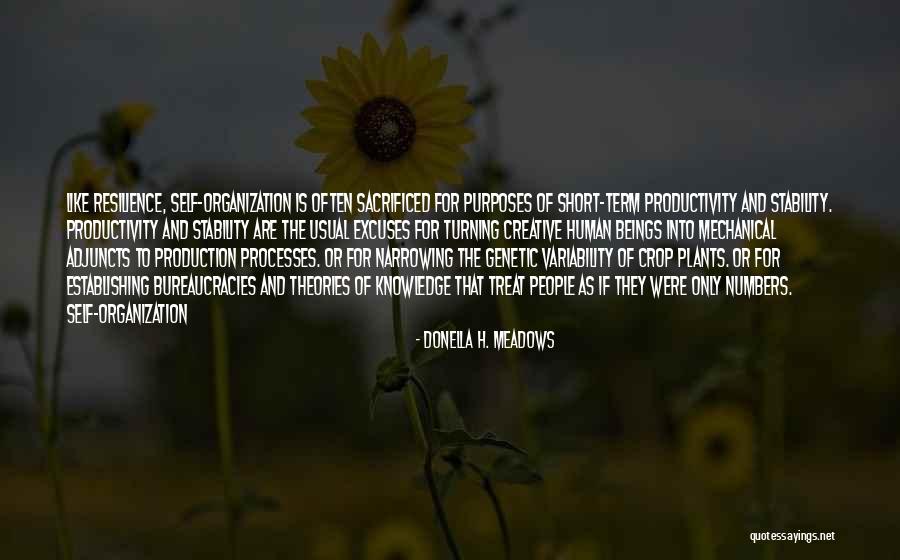To Treat Quotes By Donella H. Meadows To Treat Quotes By Donella H. Meadows