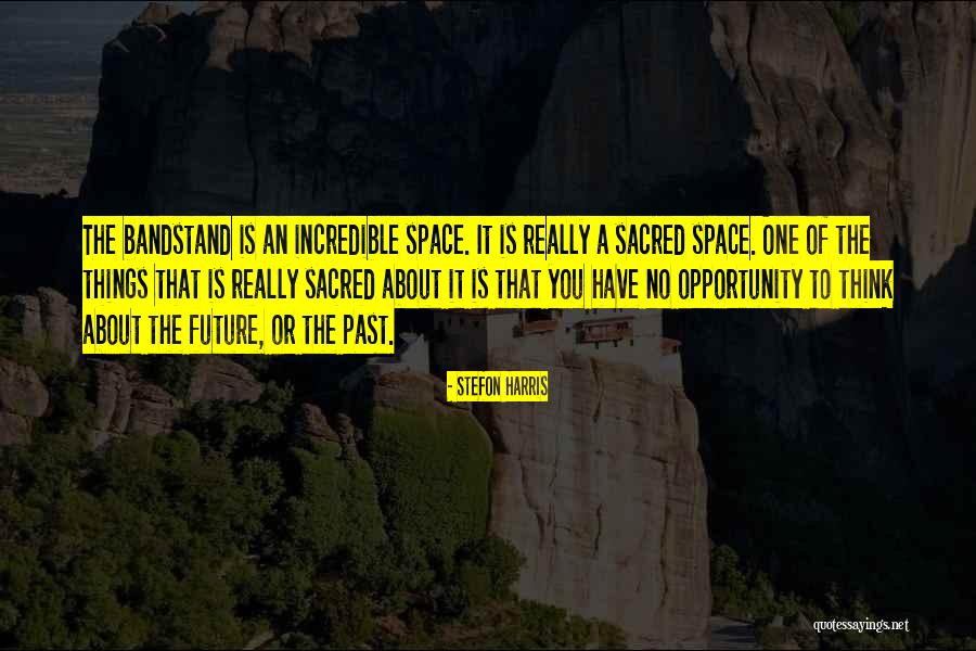 Toadyish Response Quotes By Stefon Harris
