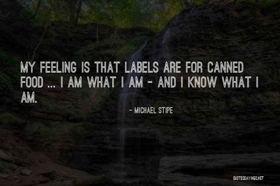 Toastmasters Motivational Quotes By Michael Stipe Toastmasters Motivational Quotes By Michael Stipe