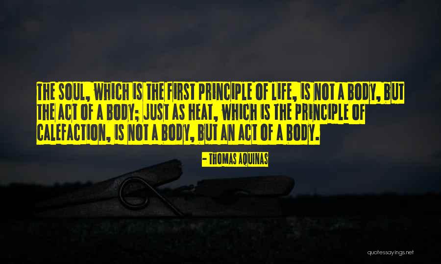Toat Quotes By Thomas Aquinas Toat Quotes By Thomas Aquinas