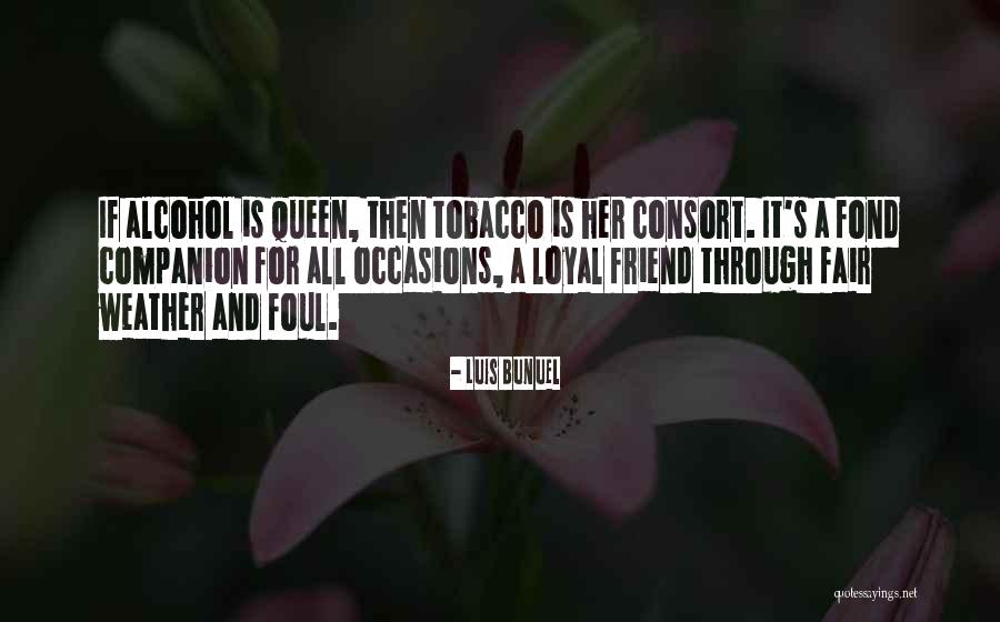 Tobacco Smoking Quotes By Luis Bunuel Tobacco Smoking Quotes By Luis Bunuel