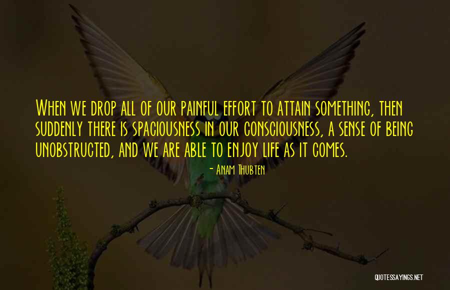 Tobias Davies Quotes By Anam Thubten Tobias Davies Quotes By Anam Thubten