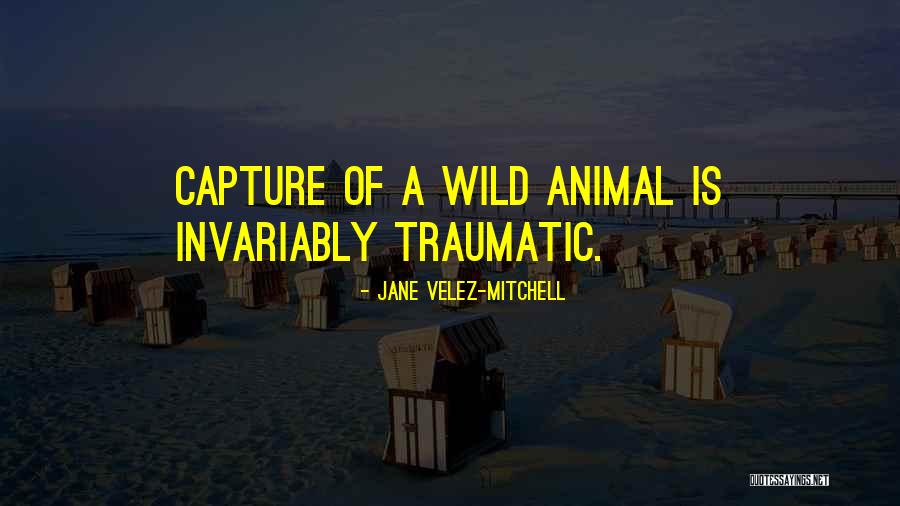 Tobias Davies Quotes By Jane Velez-Mitchell Tobias Davies Quotes By Jane Velez-Mitchell