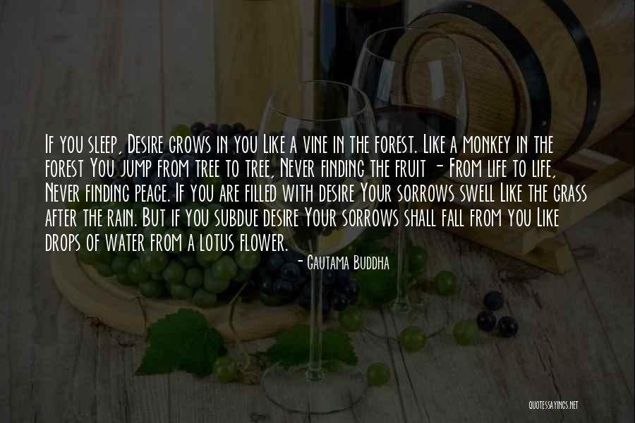 Tobita Mha Quotes By Gautama Buddha Tobita Mha Quotes By Gautama Buddha