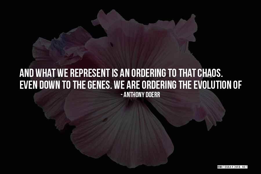 Tochterman Tackle Quotes By Anthony Doerr Tochterman Tackle Quotes By Anthony Doerr