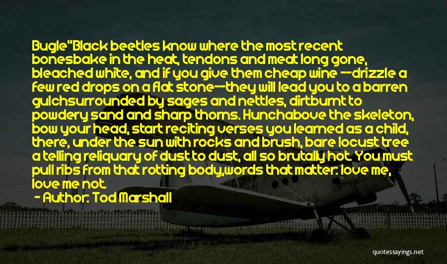 Tod Marshall Quotes 357258