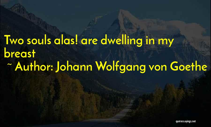 Todavia Te Quiero Quotes By Johann Wolfgang Von Goethe