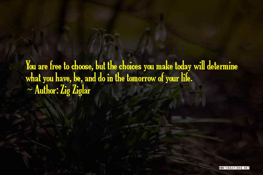 Today I Choose Life Quotes By Zig Ziglar