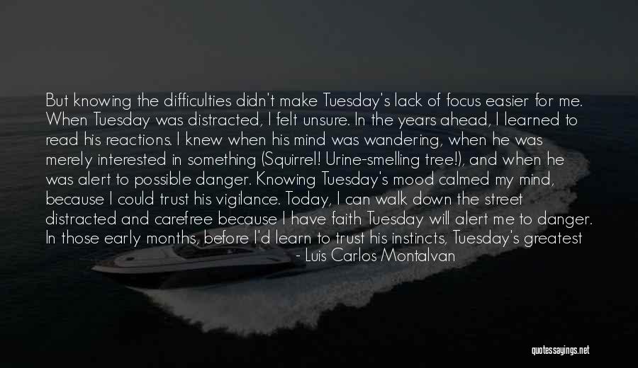Today I Have Learned Quotes By Luis Carlos Montalvan Today I Have Learned Quotes By Luis Carlos Montalvan