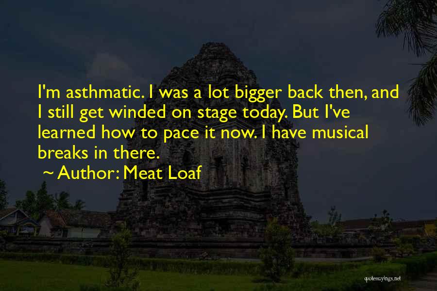 Today I Have Learned Quotes By Meat Loaf