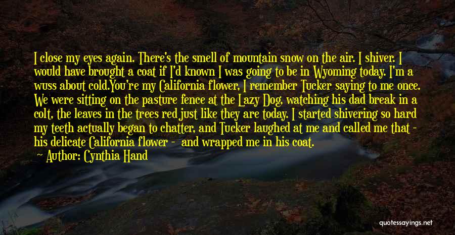 Today I Remember You Quotes By Cynthia Hand