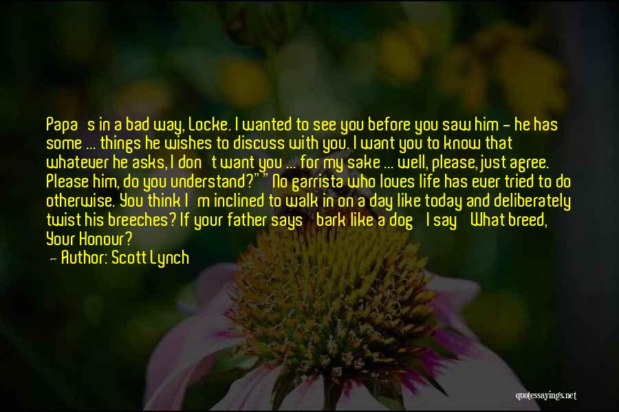 Today I Saw You Quotes By Scott Lynch