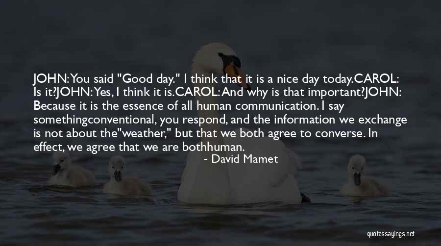 Today Was Not A Good Day Quotes By David Mamet