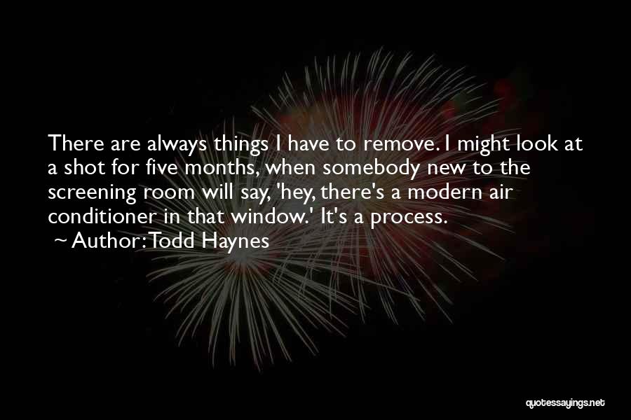 Todd Haynes Quotes 1321303