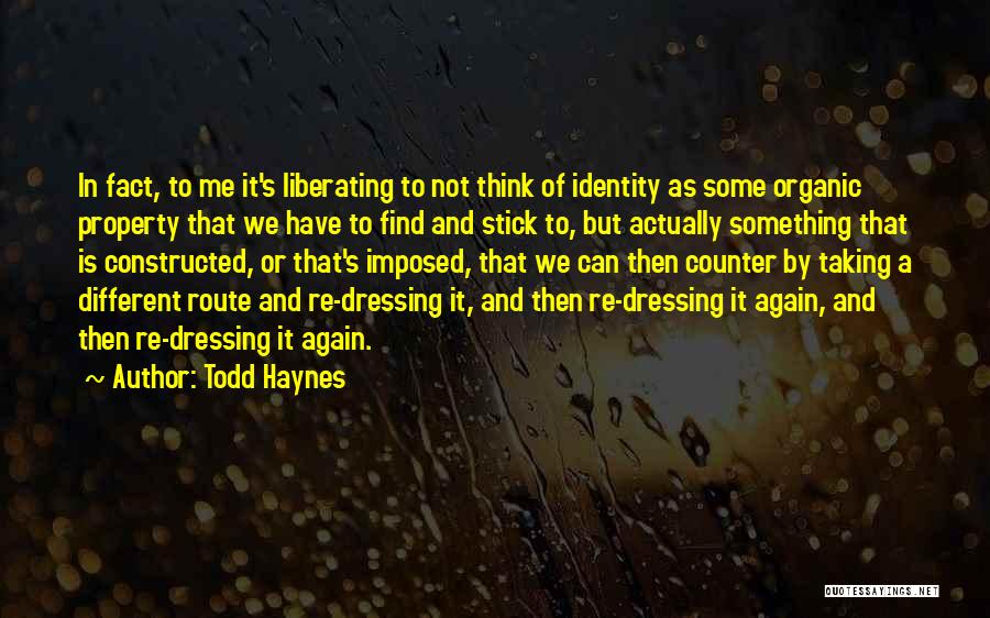 Todd Haynes Quotes 2148108