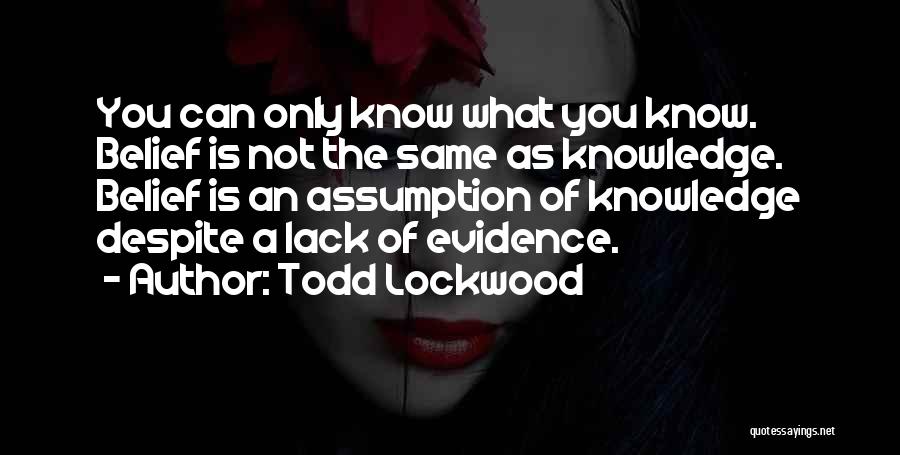 Todd Lockwood Quotes 1997719