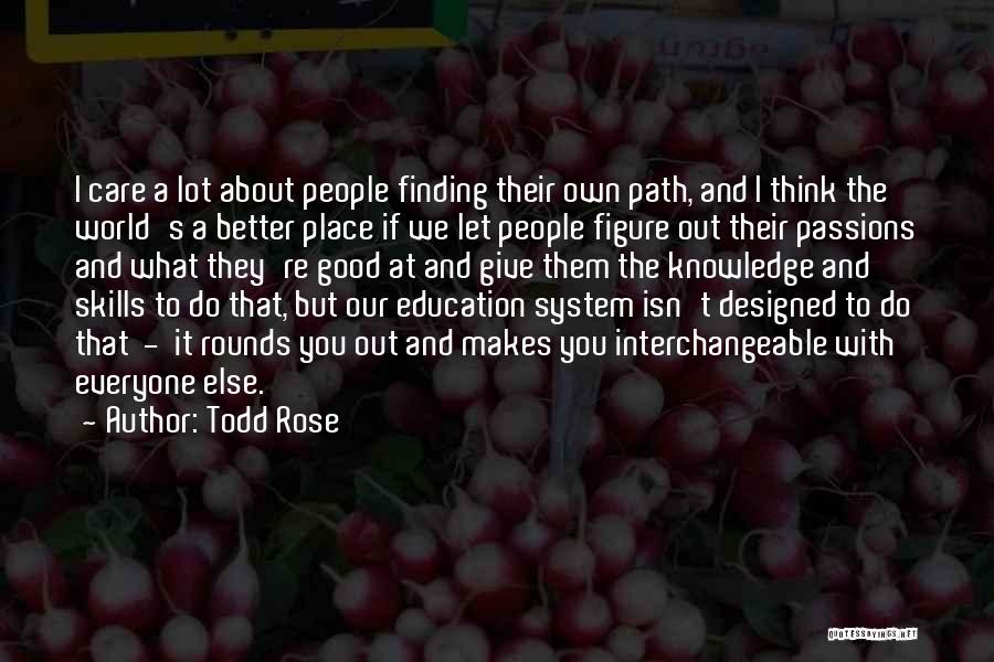 Todd Rose Quotes 1689709