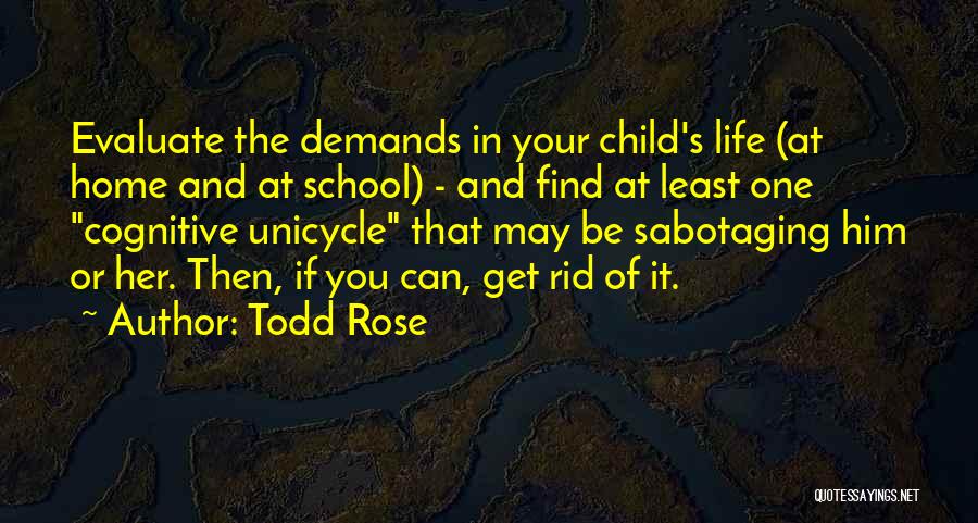 Todd Rose Quotes 886668